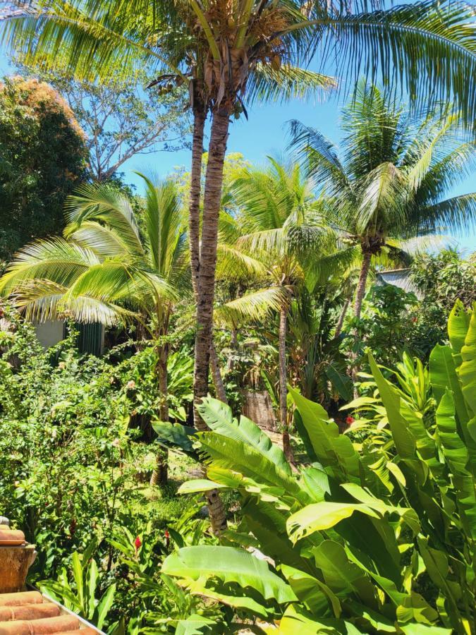 Pousada Velha Boipeba Empresa Acanhtica Boipeba Island Kültér fotó